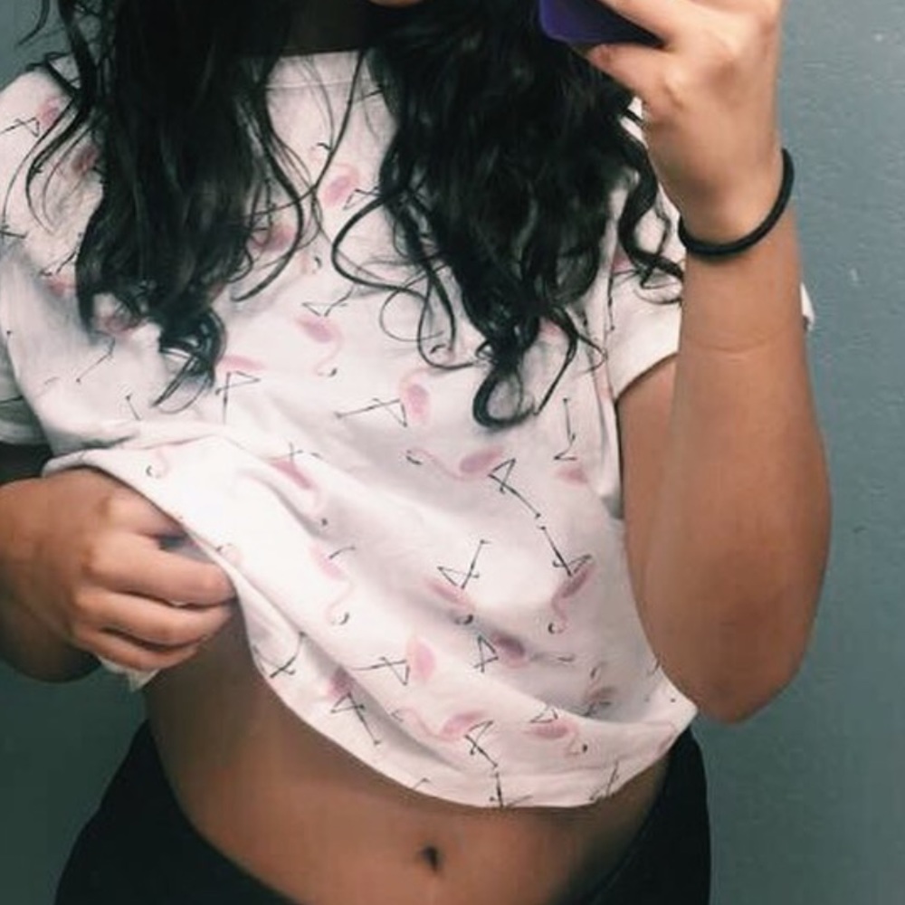 White Flamingo Crop Top